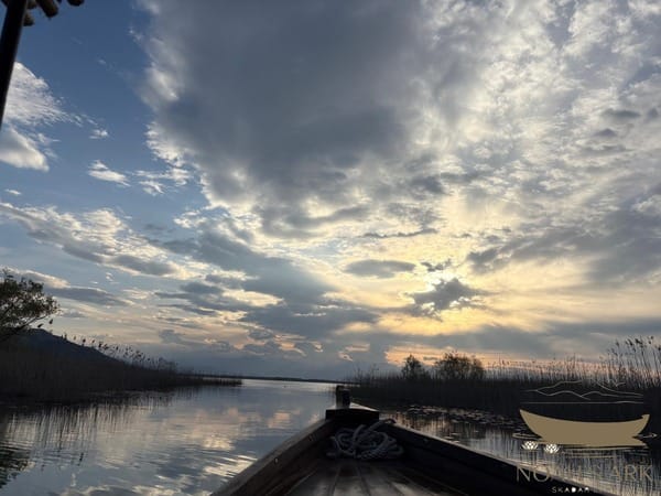 Witness Skadar Lake's dawn awakening: private wooden boat tour, 3 hours – Skadar Lake boat tour from Virpazar, Montenegro