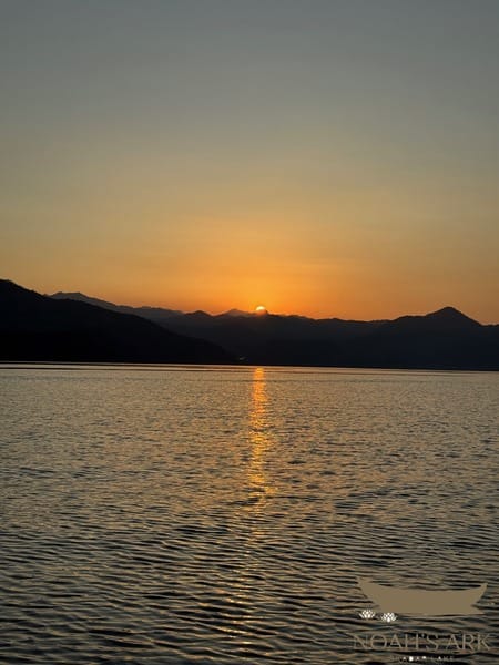 Fall in love with Skadar Lake at sunset: private wooden boat tour, 3 hours – Skadar Lake boat tour from Virpazar, Montenegro